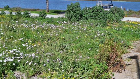 Velddrif, Western Cape, Afrique Du Sud