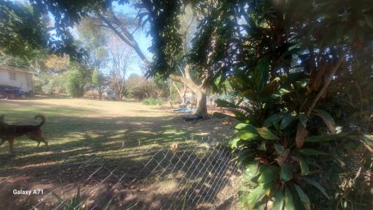 White River, Mpumalanga, Republika Południowej Afryki