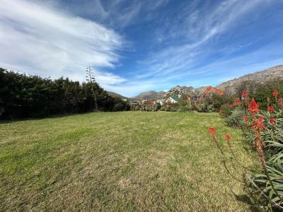 Pringle Bay, Western Cape, South Africa