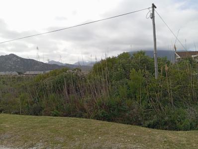 Pringle Bay, Western Cape, Güney Afrika