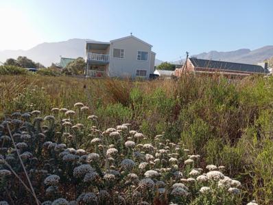 Pringle Bay, Western Cape, South Africa