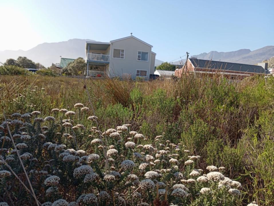Pringle Bay, Western Cape, Südafrika