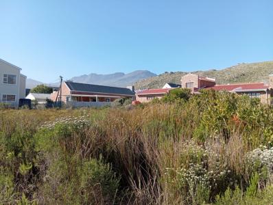Pringle Bay, Western Cape, Südafrika