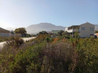 Pringle Bay, Western Cape, Südafrika