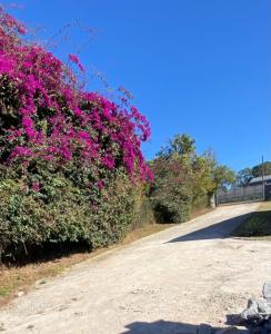 White River, Mpumalanga, Republika Południowej Afryki