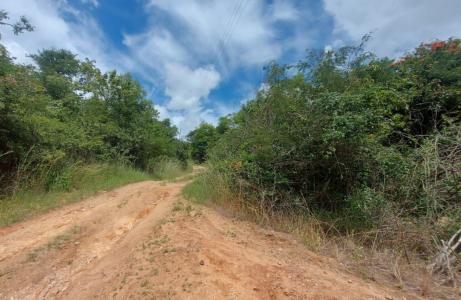 Nelspruit, Mpumalanga, Republika Południowej Afryki