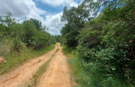 Nelspruit, Mpumalanga, Republika Południowej Afryki