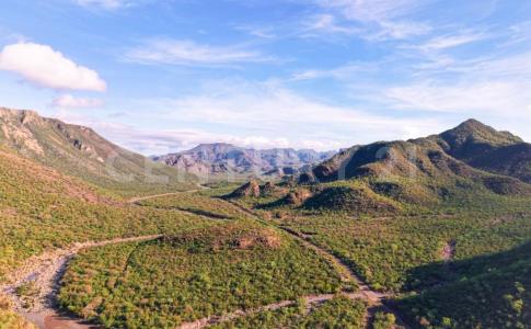 Loreto, Baja California Sur 23898, Mexico