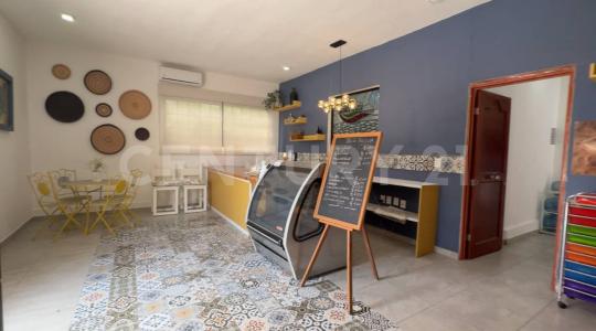 Bahía De Banderas, Nayarit 63735, México