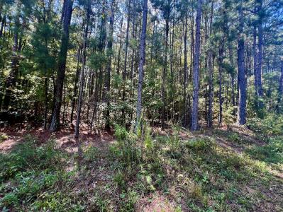 1150 Denton Rd, Douglasville, Georgia 30134