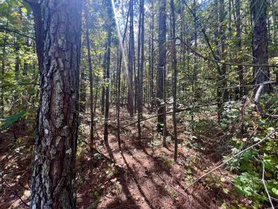 1150 Denton Rd, Douglasville, Georgia 30134