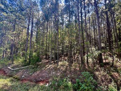 1150 Denton Rd, Douglasville, Georgia 30134