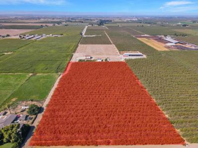 S Walnut Road, Turlock, 加州 95380, 美國