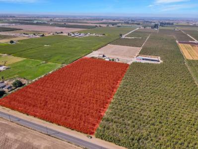 S Walnut Road, Turlock, 加州 95380, 美國