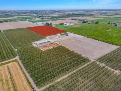 S Walnut Road, Turlock, 加州 95380, 美國