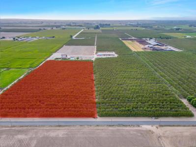 S Walnut Road, Turlock, 加州 95380, 美國