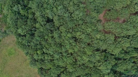 0000 E Texas Highway 77, Atlanta, Texas 75551, Estados Unidos