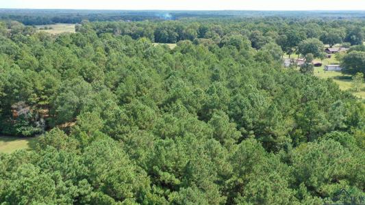 0000 E Texas Highway 77, Atlanta, Texas 75551, Estados Unidos