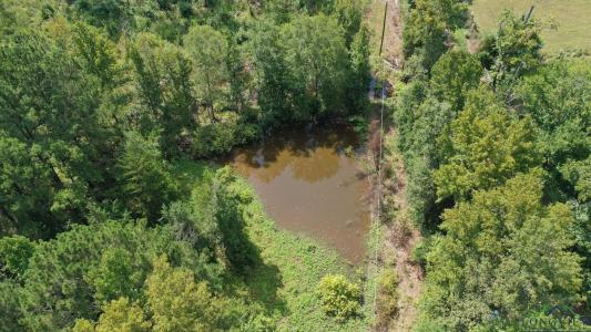 0000 E Texas Highway 77, Atlanta, Texas 75551, Estados Unidos