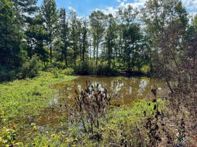 0000 E Texas Highway 77, Atlanta, Texas 75551, Estados Unidos