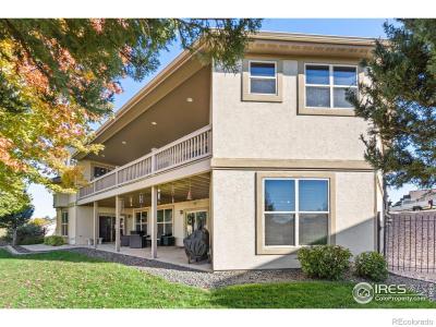 525 Sage Ave, Greeley, コロラド 80634, アメリカ合衆国