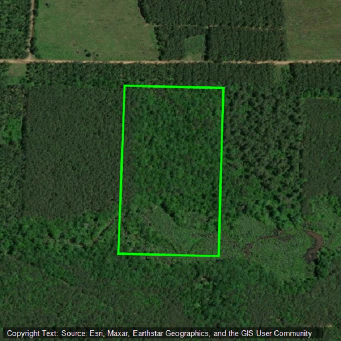 20 acres Lafayette CR-8, Bradley, Arkansas 71826