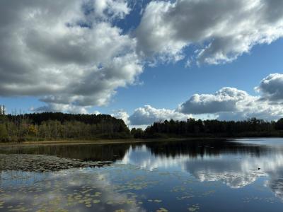 6797N Plantation Rd E, Mercer, Wisconsin 54547, USA