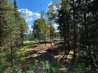 6797N Plantation Rd E, Mercer, 威斯康辛州 54547, 美国