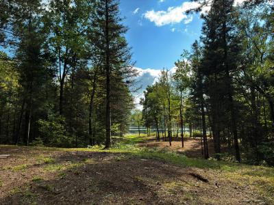 6797N Plantation Rd E, Mercer, 威斯康辛州 54547, 美国