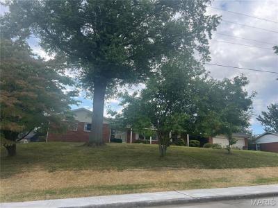 2449 Janet Drive, Cape Girardeau, Missouri 63701, Stati Uniti