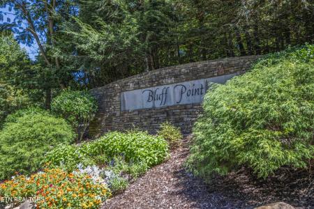 2029 Duck Cove Drive, Knoxville, Tennessee 37922, USA