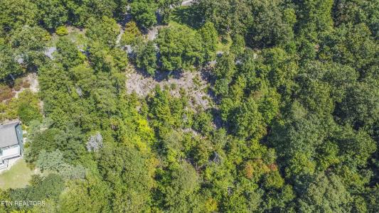 2029 Duck Cove Drive, Knoxville, 田納西州 37922, 美國