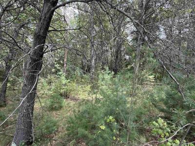 N8114 Baileys Boulevard, New Lisbon, Wisconsin 53950