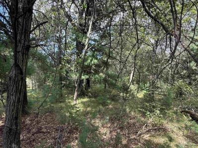 N8114 Baileys Boulevard, New Lisbon, Wisconsin 53950