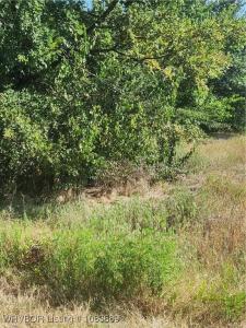 607 Holsen, Poteau, Oklahoma 74953, États-Unis