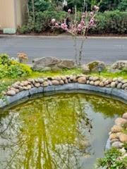 9360 N Blackstone Avenue 243, Fresno, קליפורניה 93720, ארצות הברית של אמריקה 