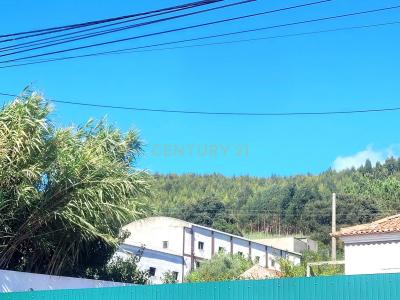 Alcobaça, 萊裡亞 2460-853, 葡萄牙