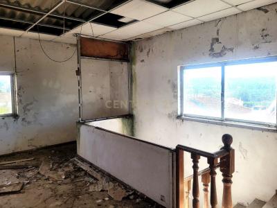 Alcobaça, 萊裡亞 2460-853, 葡萄牙