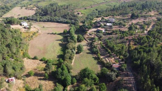 Covilhã, Castelo Branco 6225-101, Portugal