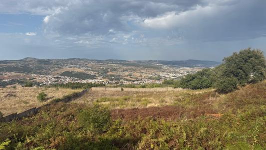 Loures, Lisbon 2670-502, Portugal