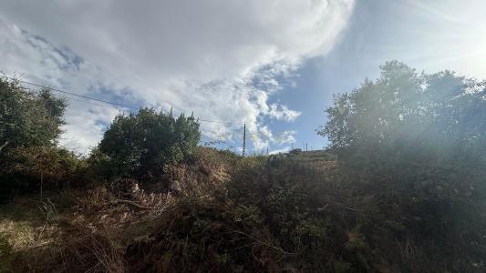 Loures, Lisboa 2670-502, Portugal