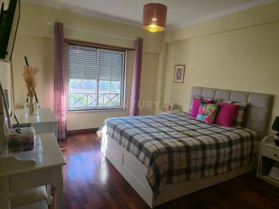 Benavente, סנטרם 2135-082, פורטוגל