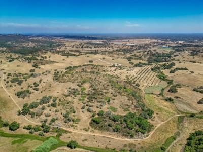 Odemira, Beja 7630, Bồ Đào Nha
