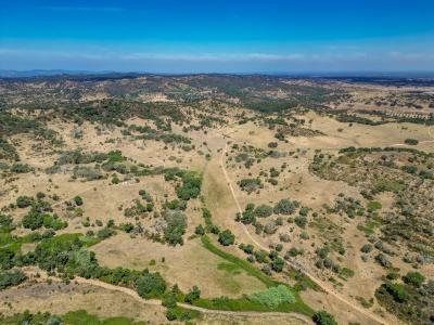 Odemira, Beja 7630, Bồ Đào Nha