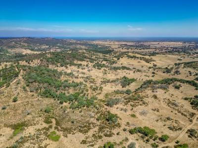 Odemira, Beja 7630, Bồ Đào Nha