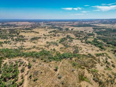 Odemira, Beja 7630, Bồ Đào Nha