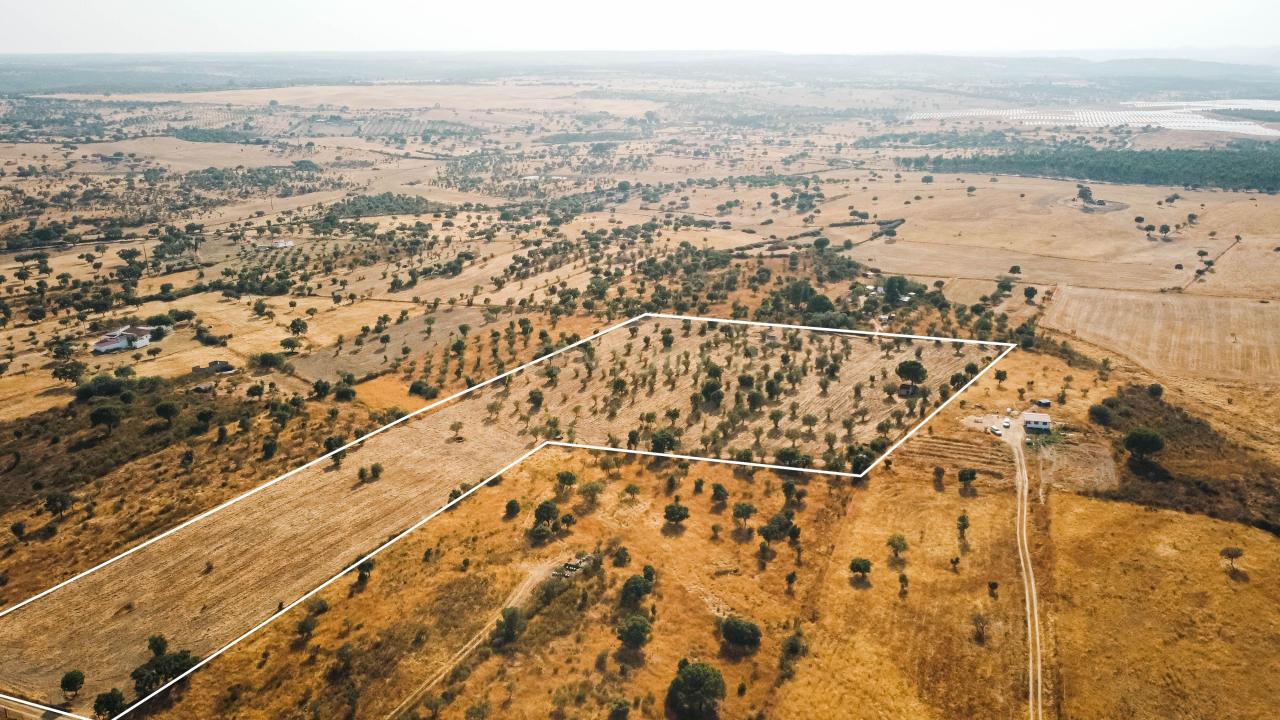 Nisa, Portalegre 6050-412, Portugal