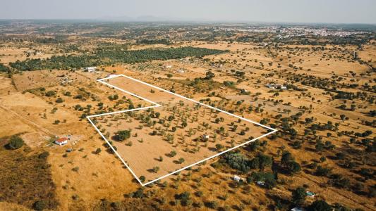 Nisa, Portalegre 6050-412, Portugal