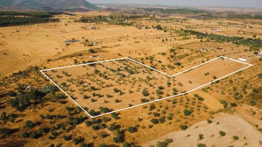 Nisa, Portalegre 6050-412, Portugal