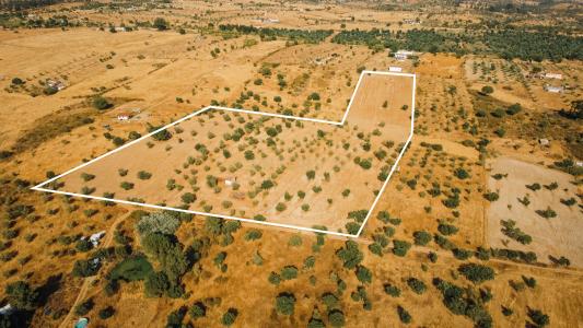 Nisa, Portalegre 6050-412, Portugal